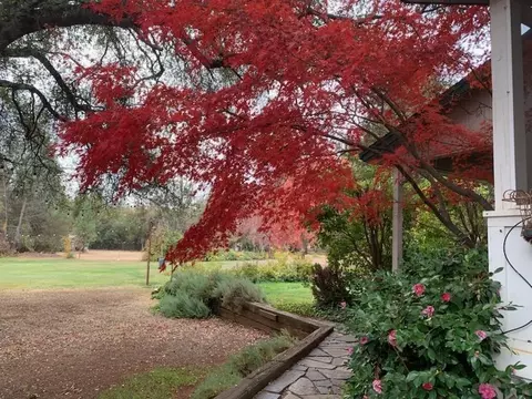 22004 Parrots Ferry Rd, Sonora, CA 95370 photo 4