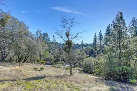 Exterior - 870 Hilltop Ct, Applegate, CA 95703 photo 18 of 18
