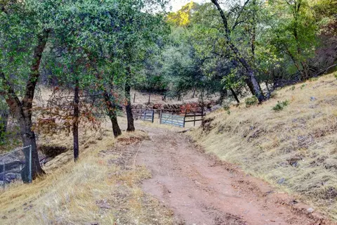 10831 Upper Previtali Rd, Jackson, CA 95642 photo 57