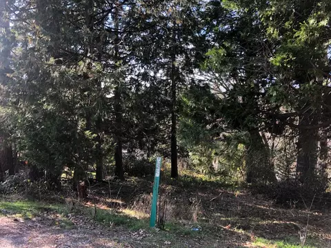 410 W Marshall St, Grass Valley, CA 95945 photo 5