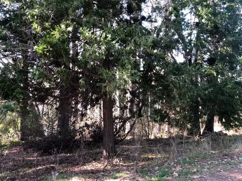 410 W Marshall St, Grass Valley, CA 95945 photo 6
