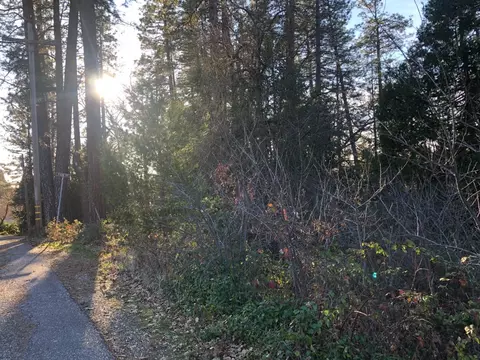 410 W Marshall St, Grass Valley, CA 95945 photo 2