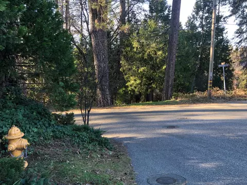 410 W Marshall St, Grass Valley, CA 95945 photo 3