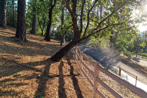 1590 Carson Rd, Placerville, CA 95667 photo 11