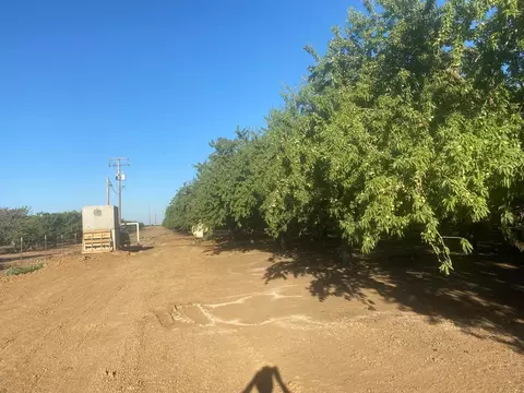 4259 Orchard Rd, Gustine, CA 95322 photo 12