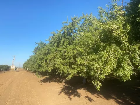 4259 Orchard Rd, Gustine, CA 95322 photo 13