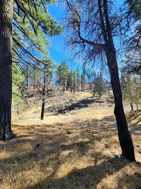 45 Lava Cap, Markleeville, CA 96120 photo 5
