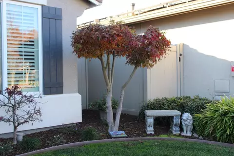 2487 Bellchase Dr, Manteca, CA 95336 photo 3