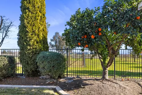 Exterior - 14682 E Live Oak Rd, Lodi, CA 95240 photo 9 of 17