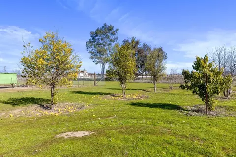 Exterior - 14682 E Live Oak Rd, Lodi, CA 95240 photo 10 of 17
