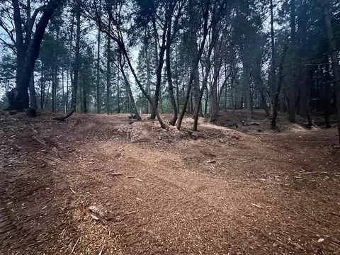 0 Oregon Trail Rd, Georgetown, CA 95634 photo 9