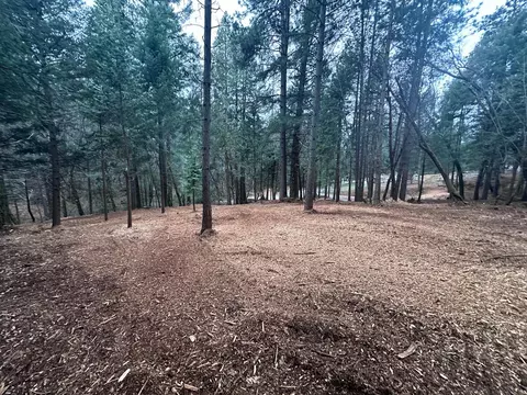 0 Oregon Trail Rd, Georgetown, CA 95634 photo 3