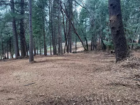 0 Oregon Trail Rd, Georgetown, CA 95634