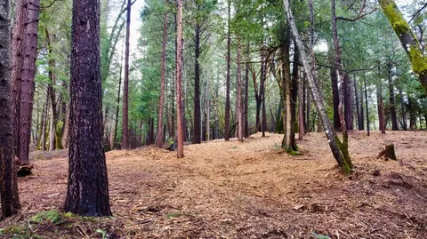 0 Oregon Trail Rd, Georgetown, CA 95634 photo 18