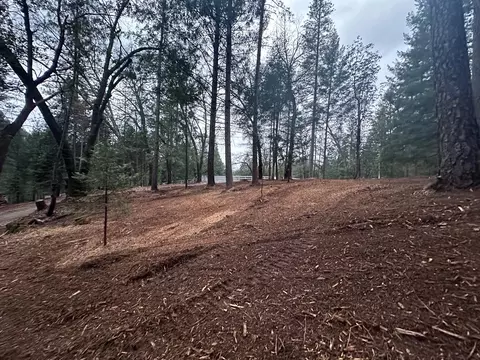 0 Oregon Trail Rd, Georgetown, CA 95634 photo 6