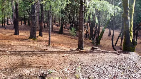 0 Oregon Trail Rd, Georgetown, CA 95634 photo 11