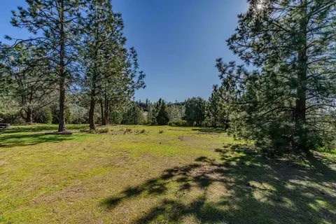 10374 Tabeaud Rd, Pine Grove, CA 95665 photo 42