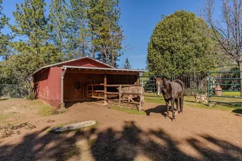 10374 Tabeaud Rd, Pine Grove, CA 95665 photo 49