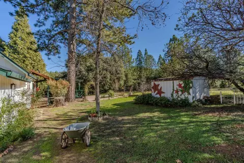 10374 Tabeaud Rd, Pine Grove, CA 95665 photo 39
