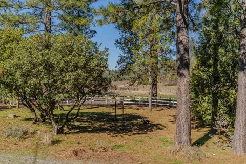 10374 Tabeaud Rd, Pine Grove, CA 95665 photo 55