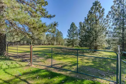 10374 Tabeaud Rd, Pine Grove, CA 95665 photo 41