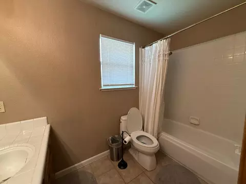 Bath - 217 Castile Ln, Turlock, CA 95382 photo 5 of 6