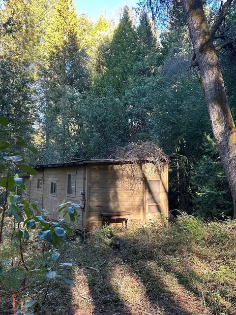 21440 Ohls Rd, Volcano, CA 95666 photo 3