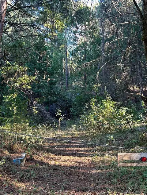 21440 Ohls Rd, Volcano, CA 95666 photo 7