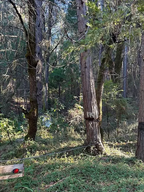 21440 Ohls Rd, Volcano, CA 95666 photo 8