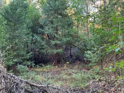 21440 Ohls Rd, Volcano, CA 95666 photo 9