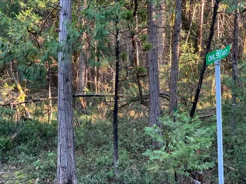 21440 Ohls Rd, Volcano, CA 95666 photo 15