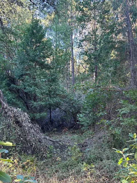 21440 Ohls Rd, Volcano, CA 95666 photo 11