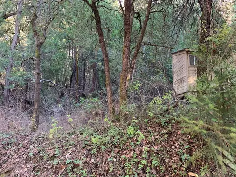 21440 Ohls Rd, Volcano, CA 95666 photo 4