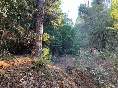21440 Ohls Rd, Volcano, CA 95666 photo 6