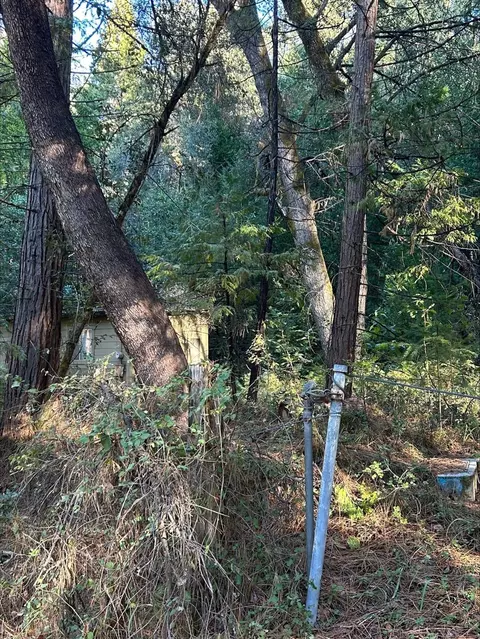 21440 Ohls Rd, Volcano, CA 95666 photo 14