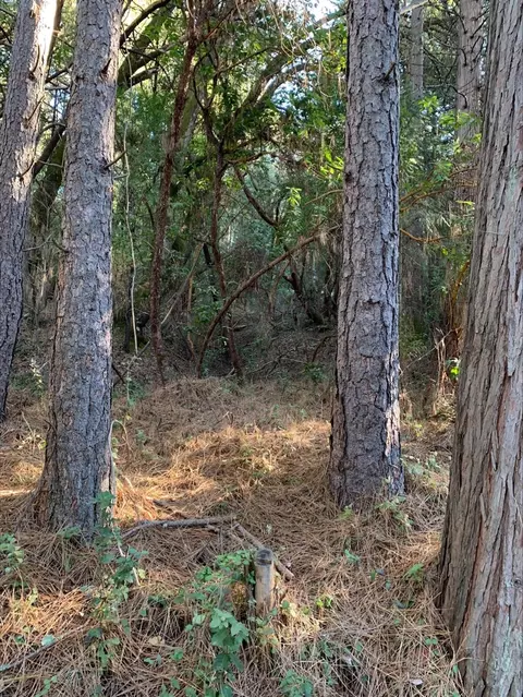 21440 Ohls Rd, Volcano, CA 95666 photo 12
