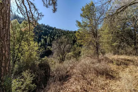 18903 Highway 26, West Point, CA 95255 photo 3