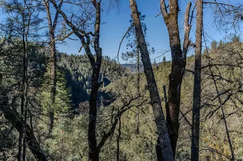 18903 Highway 26, West Point, CA 95255 photo 5