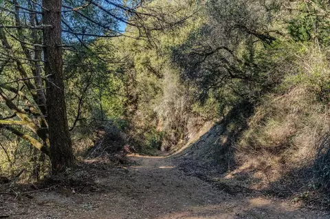 18903 Highway 26, West Point, CA 95255 photo 8
