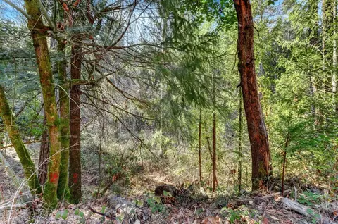 0 Cedar Ridge Dr, Grass Valley, CA 95945 photo 32