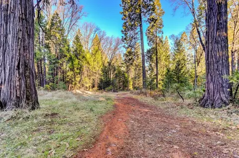 0 Cedar Ridge Dr, Grass Valley, CA 95945 photo 38