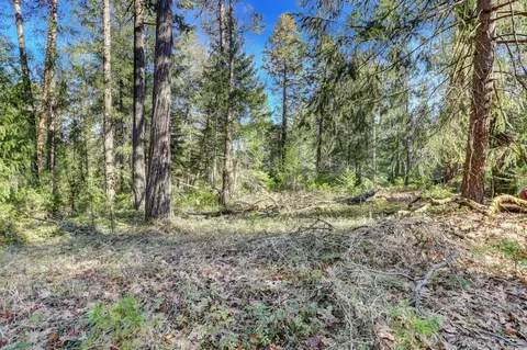 0 Cedar Ridge Dr, Grass Valley, CA 95945 photo 13