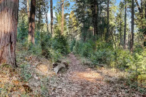 0 Cedar Ridge Dr, Grass Valley, CA 95945 photo 19