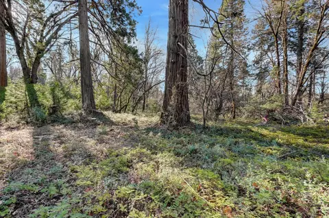 0 Cedar Ridge Dr, Grass Valley, CA 95945 photo 14