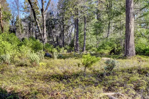 0 Cedar Ridge Dr, Grass Valley, CA 95945 photo 5