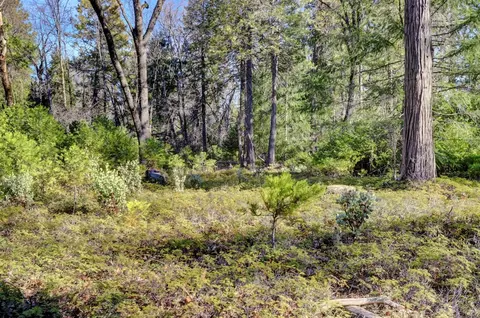 0 Cedar Ridge Dr, Grass Valley, CA 95945 photo 30