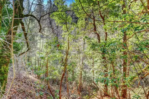 0 Cedar Ridge Dr, Grass Valley, CA 95945 photo 29