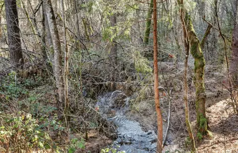 12195 E Bennett Rd, Grass Valley, CA 95945
