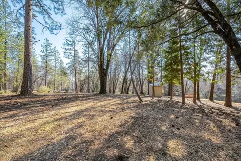 20313 Ocelot, Grass Valley, CA 95949 photo 46