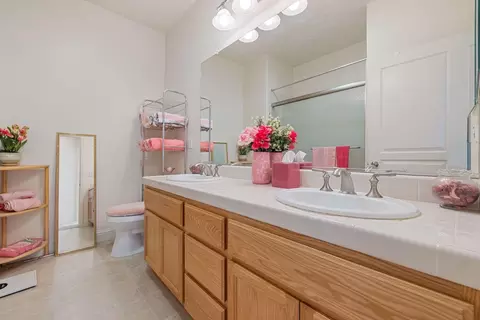 543 Cistus, Manteca, CA 95337 photo 41